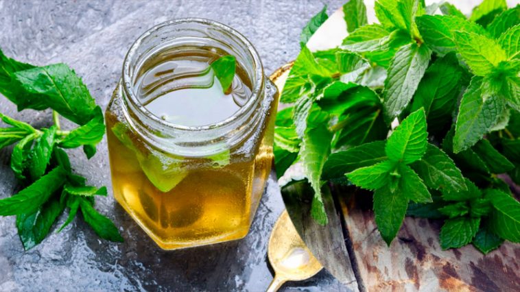 Готую щороку! М’ятний сироп — улюблена літня заготівля