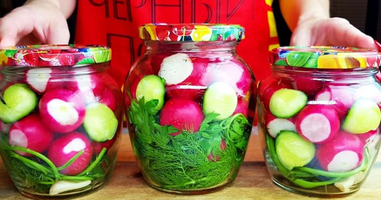 Редиска, від якої всі в захваті: Закриваю 100 банок – розлітаються миттєво!