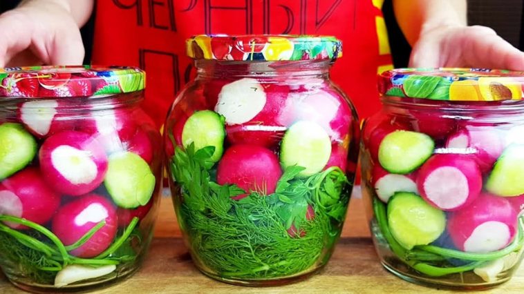 Редиска, від якої всі в захваті: Закриваю 100 банок – розлітаються миттєво!