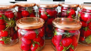 Секрет моєї зимової полуниці: як я зберігаю ягоди свіжими цілих 2 роки!