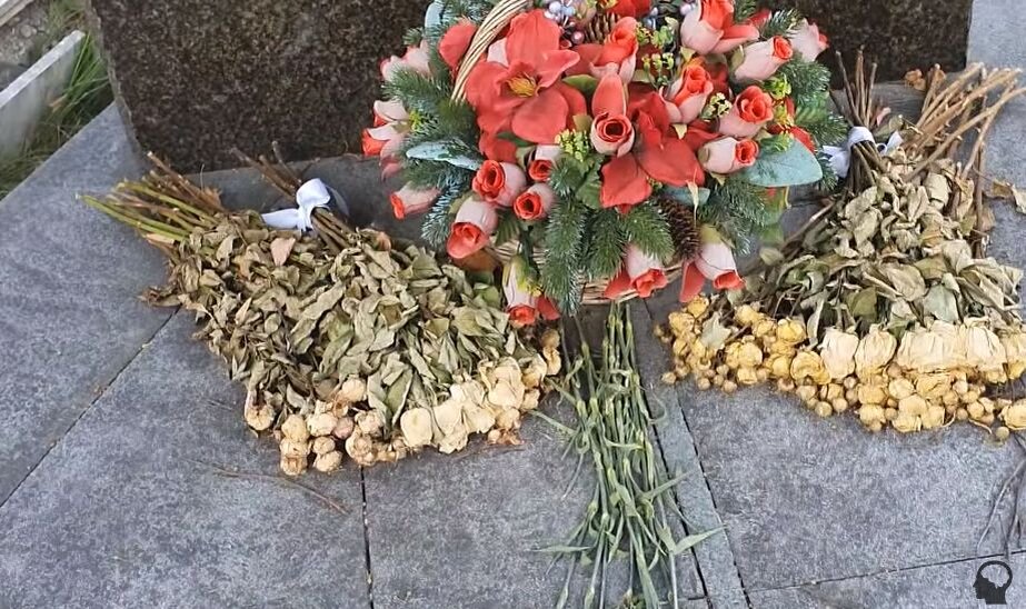 Останній притулок батьків Максима Галкіна: чому сьогодні він виглядає занедбаним?