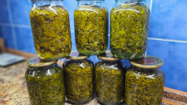 Щороку закриваю до 40 банок! Простий рецепт щавлю на зиму без солі та оцту