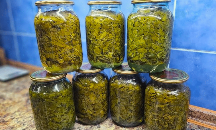 Щороку закриваю до 40 банок! Простий рецепт щавлю на зиму без солі та оцту