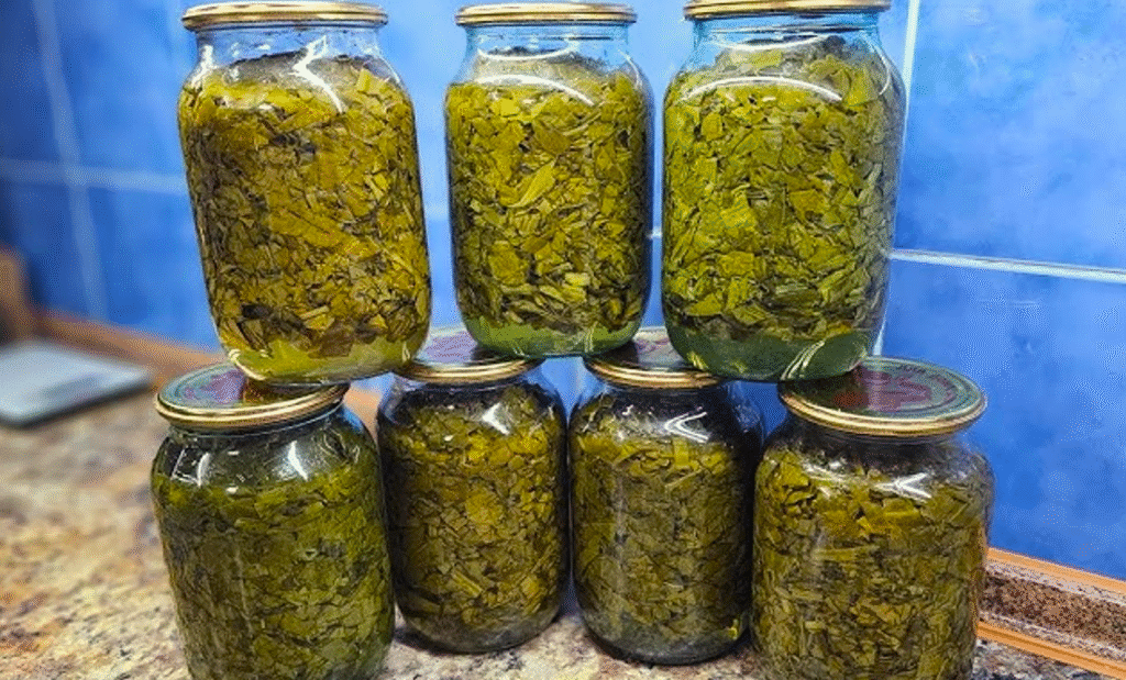 Щороку закриваю до 40 банок! Простий рецепт щавлю на зиму без солі та оцту
