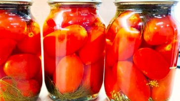 Помідори на зиму за рецептом свекрухи — без оцту й лимонки! Стоять у квартирі роками!