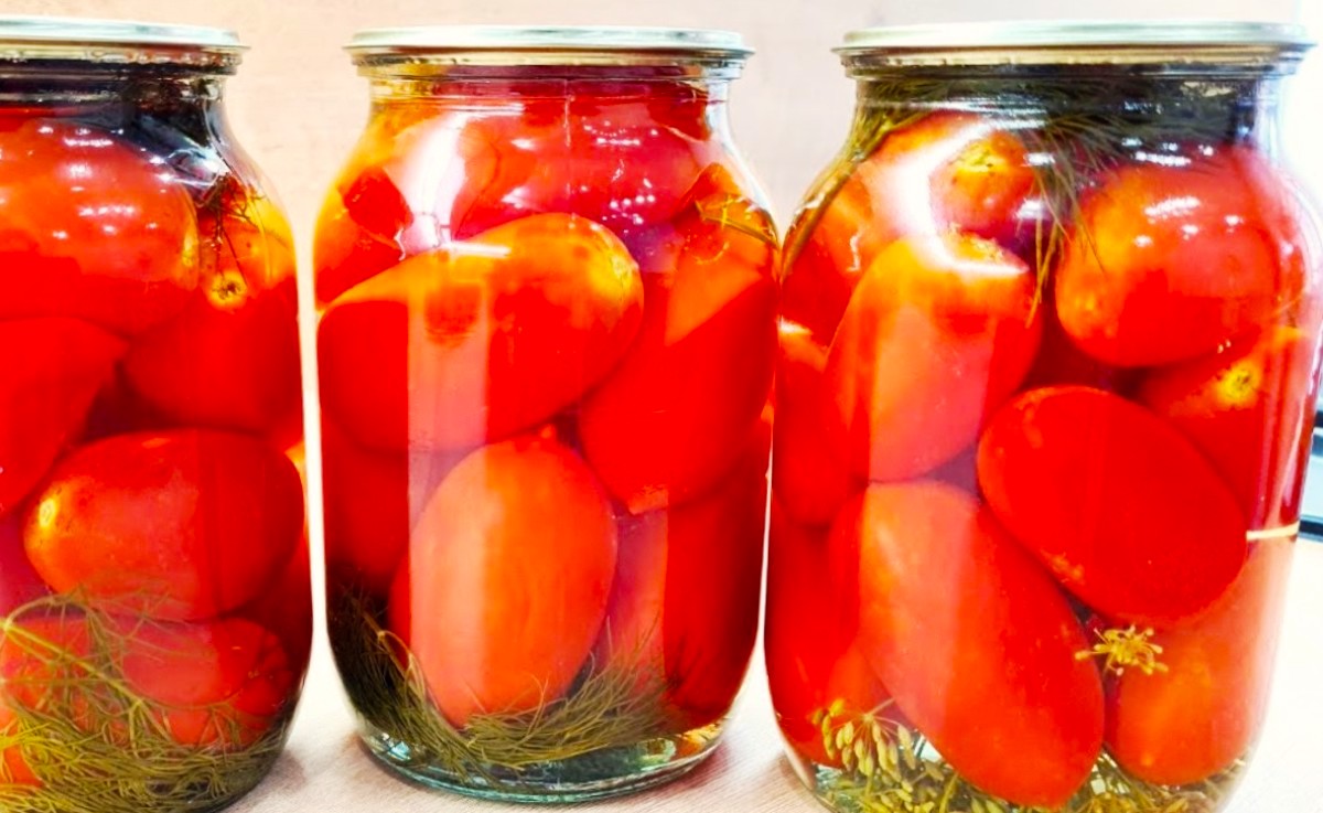 Помідори на зиму за рецептом свекрухи — без оцту й лимонки! Стоять у квартирі роками!