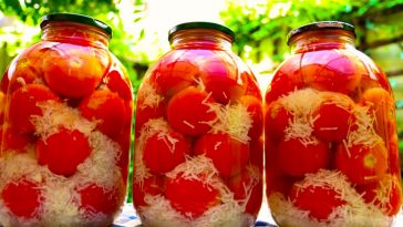 Помідори “в снігу” — до весни точно не доживуть! Смакота на всю родину