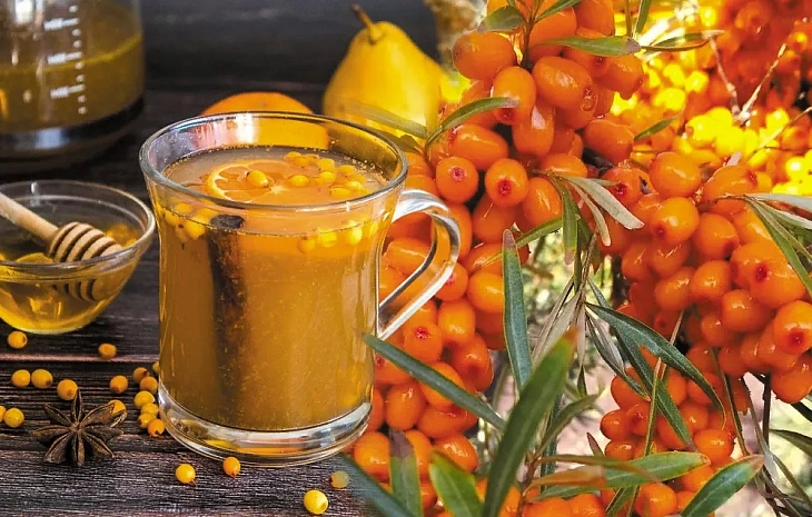 Обліпиха — «золота ягода» для здоров’я та краси: користь і найкращі рецепти застосування