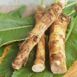 Хрін – природний еліксир для мозку, серця та кісток: як вживати правильно