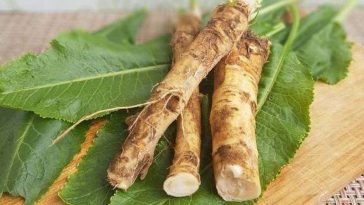 Хрін – природний еліксир для мозку, серця та кісток: як вживати правильно