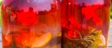 Компот із базиліка на зиму — аромат без ягід і фруктів! 🌿🍋