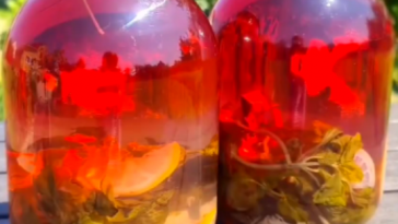 Компот із базиліка на зиму — аромат без ягід і фруктів! 🌿🍋