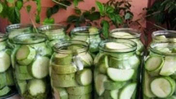 Кисло-солодкі кабачки на зиму: завжди готую не менш 20 літрових банок цієї прекрасної закрутки