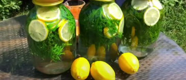 Напій, який варто закрити на зиму! Домашній тархун — освіжаючий, ароматний, просто смакота!