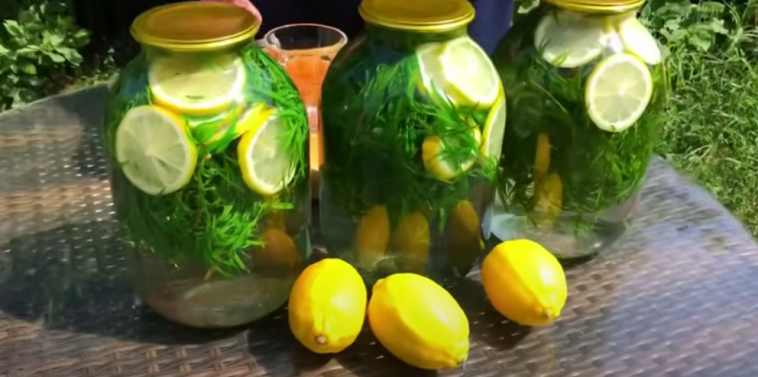 Напій, який варто закрити на зиму! Домашній тархун — освіжаючий, ароматний, просто смакота!