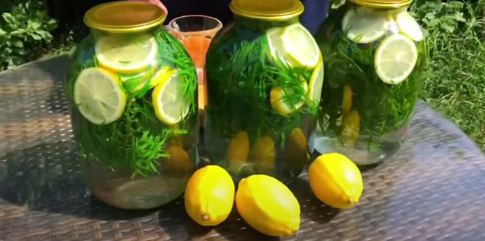Напій, який варто закрити на зиму! Домашній тархун — освіжаючий, ароматний, просто смакота!