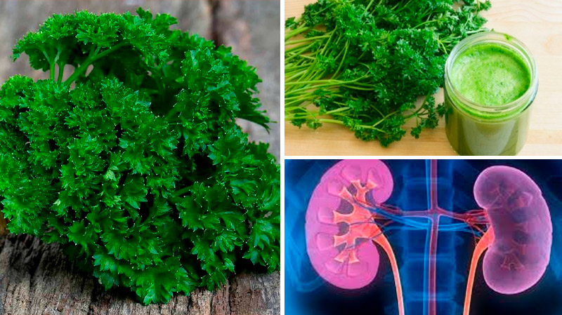 Чай із петрушки: природна користь для вашого здоров’я