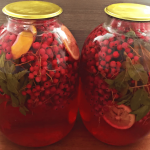 Мохіто з порічок, лимона та м’яти на зиму: компот без стерилізації