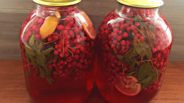 Мохіто з порічок, лимона та м’яти на зиму: компот без стерилізації