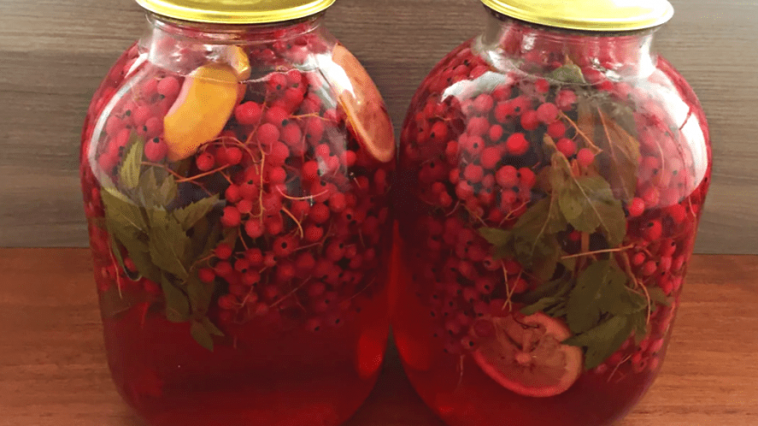 Мохіто з порічок, лимона та м’яти на зиму: компот без стерилізації