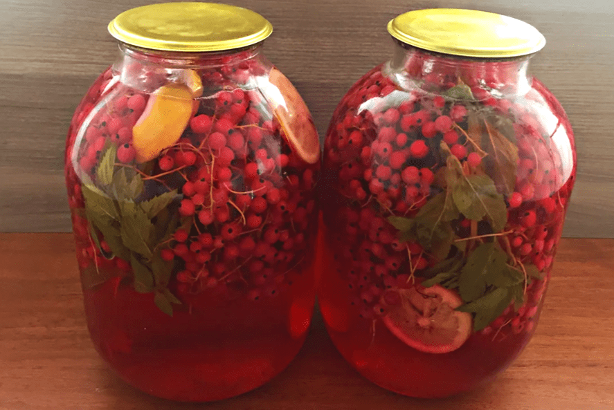 Мохіто з порічок, лимона та м’яти на зиму: компот без стерилізації