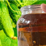 Огірки почнуть стрімко рости та рясно плодоносити, якщо підживити їх цим простим “вітамінним коктейлем”