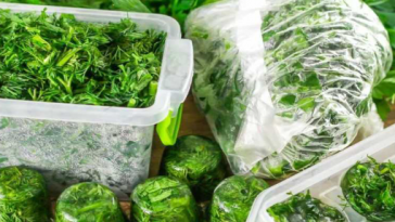 Як зберегти зелень свіжою на кілька тижнів або навіть місяців