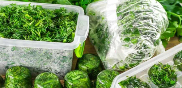 Як зберегти зелень свіжою на кілька тижнів або навіть місяців