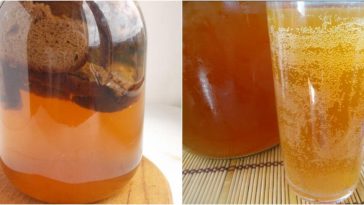 🥤 Усе літо — зі своїм квасом! Шипучий, холодненький, освіжає краще за будь-які напої