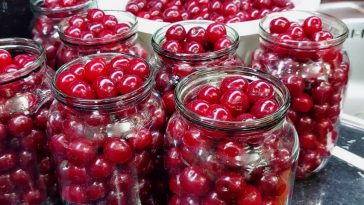 Вишня на зиму БЕЗ цукру! Суперпростий рецепт, навіть стерилізувати банки не доведеться