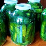 Огірки, як у діда: закриваю без стерилізації під капронову кришку! Секрет холодного способу