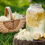 Домашній квас з бузини: простий рецепт і корисні поради