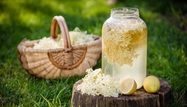 Домашній квас з бузини: простий рецепт і корисні поради