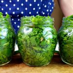 Домашні заготовки: як зберегти щавель у банках без солі — просто і смачно