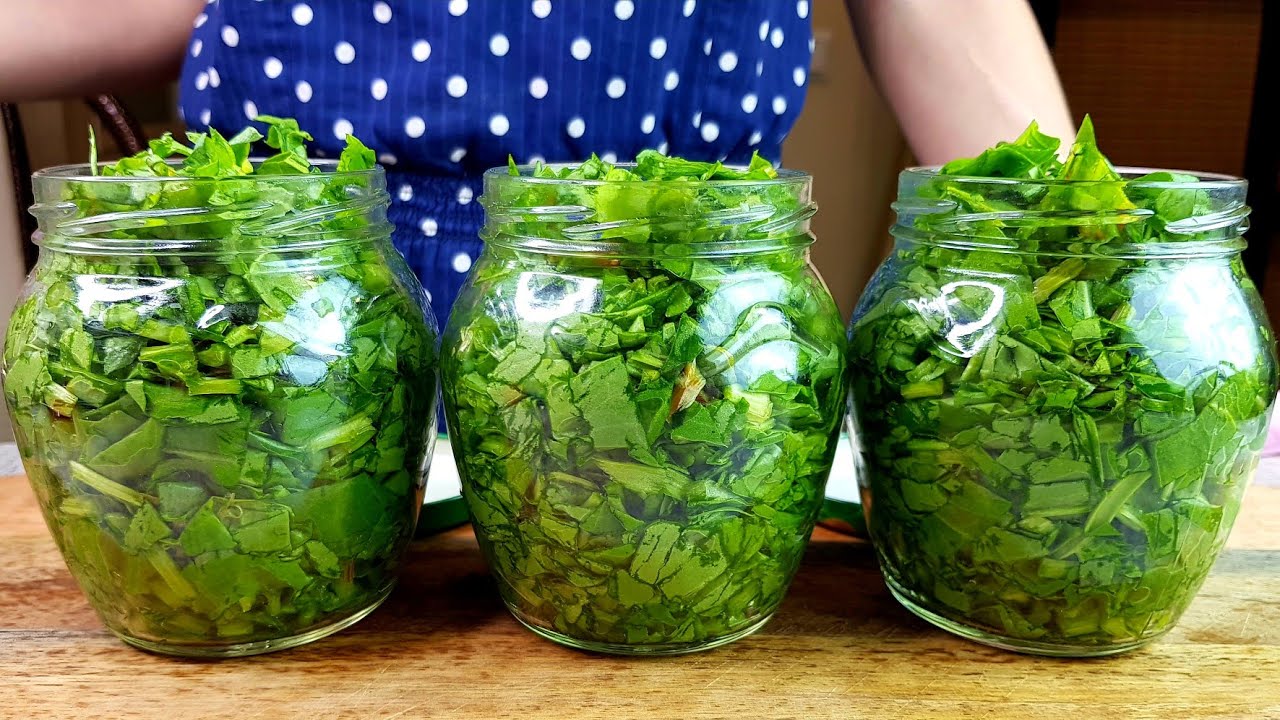 Домашні заготовки: як зберегти щавель у банках без солі — просто і смачно
