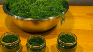 Унікальний спосіб зберігання кропу без сушіння і заморожування — перевірений роками!