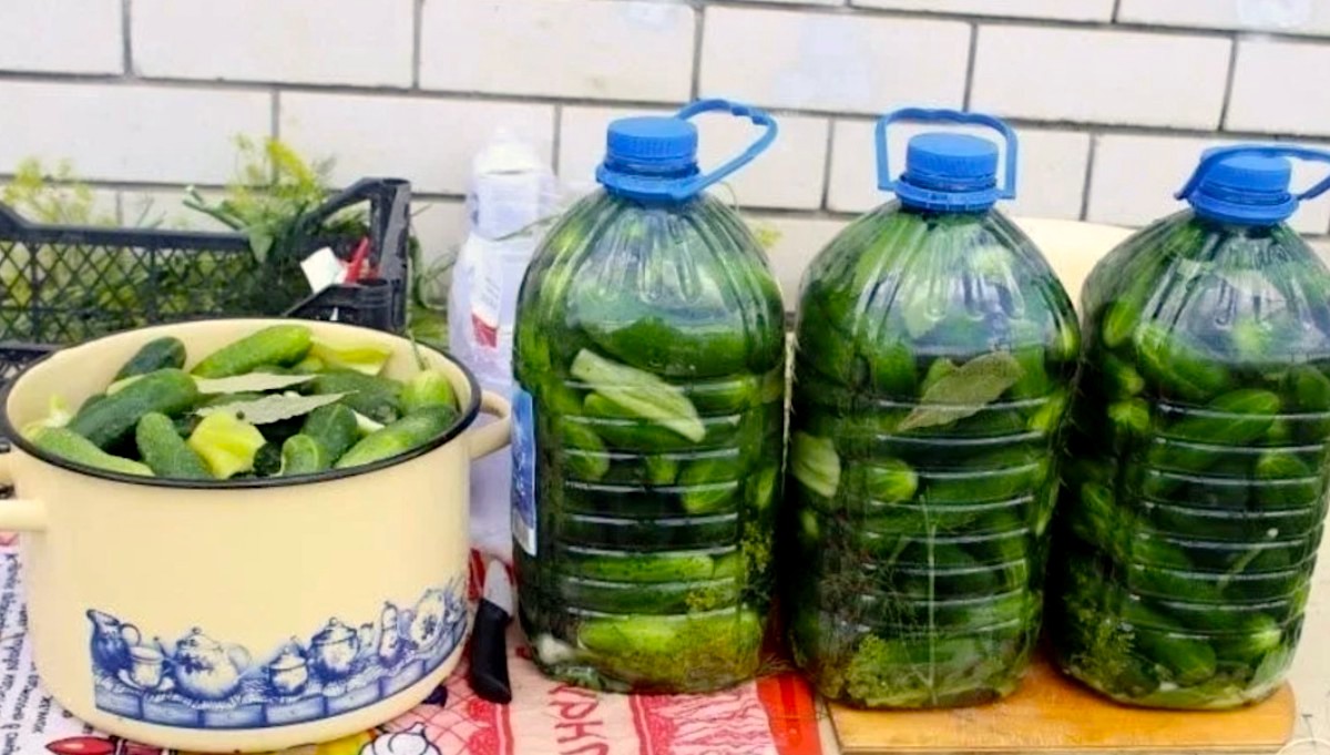 Домашні квашені огірки в пляшках — смак як з бочки!