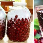 🥃 Домашній вишневий лікер із трьох інгредієнтів: покроковий простий рецепт