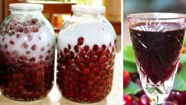 🥃 Домашній вишневий лікер із трьох інгредієнтів: покроковий простий рецепт