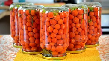 Справжній скарб, а не маринад! Закрила 50 банок без зайвих турбот – рецепт, у який закохалась!