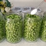 Збережіть горох на 2 роки! Домашній консервований зелений горошок — краще магазинного!
