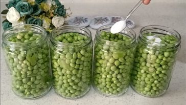 Збережіть горох на 2 роки! Домашній консервований зелений горошок — краще магазинного!