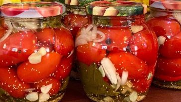 Неймовірні мариновані помідори з гірчицею на зиму — пікантна насолода у кожній банці!
