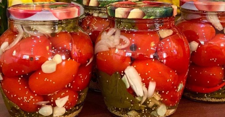 Неймовірні мариновані помідори з гірчицею на зиму — пікантна насолода у кожній банці!