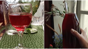 Найсмачніша домашня наливка за 1 день: бруснична або вишнева