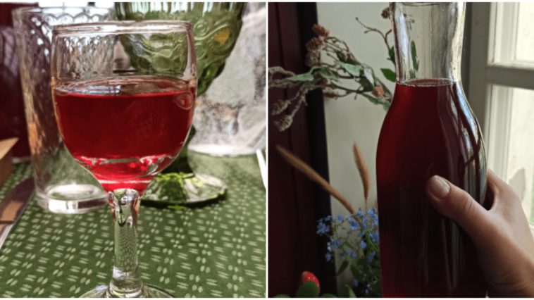 Найсмачніша домашня наливка за 1 день: бруснична або вишнева