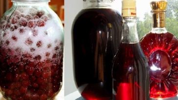 Дивовижний домашній вишневий лікер із трьох інгредієнтів – простий рецепт, неймовірний смак