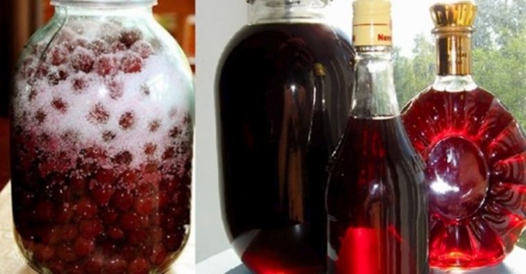 Дивовижний домашній вишневий лікер із трьох інгредієнтів – простий рецепт, неймовірний смак