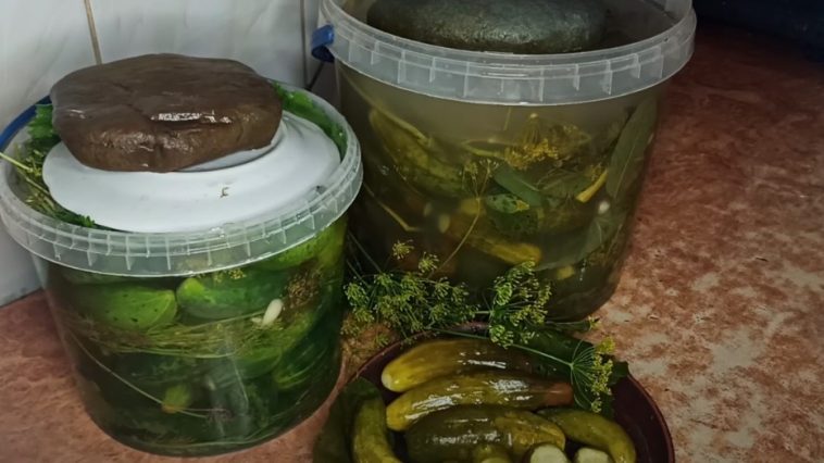 30 років — тільки так! Хрусткі квашені огірочки, як із бабусиної діжки