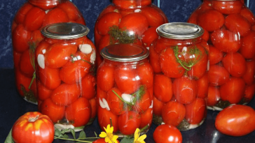 Солоні помідори на зиму без оцту: мій перевірений рецепт роками 🍅